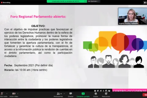 Captura de pantalla de la sesión virtual