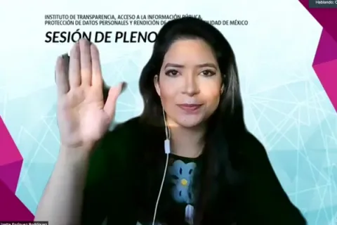 Captura de pantalla de la sesión virtual