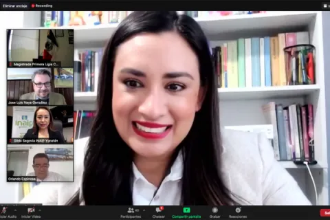 Captura de pantalla de la sesión virtual