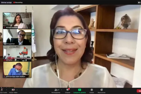 Captura de pantalla de la sesión virtual
