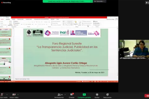 Captura de pantalla de la sesión virtual