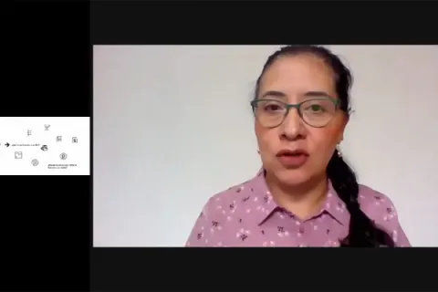 Captura de pantalla de la sesión virtual