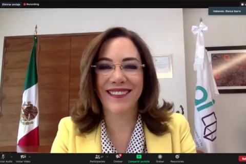 Captura de pantalla de la sesión virtual