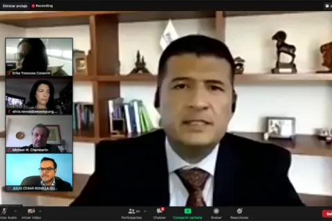 Captura de pantalla de la sesión virtual