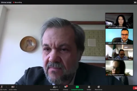 Captura de pantalla de la sesión virtual