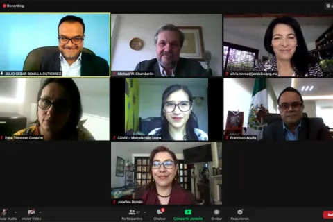 Captura de pantalla de la sesión virtual