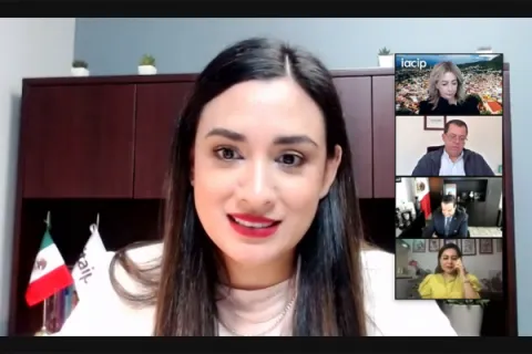 Captura de pantalla de la sesión virtual
