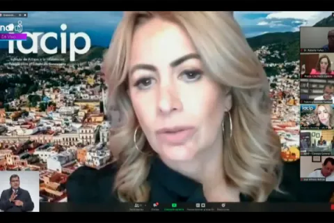 Captura de pantalla de la sesión virtual