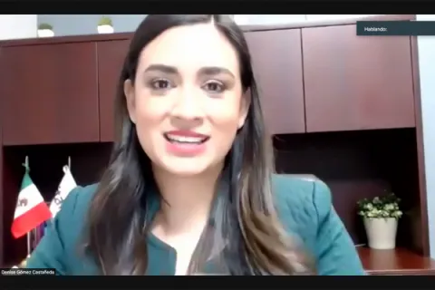 Captura de pantalla de la sesión virtual