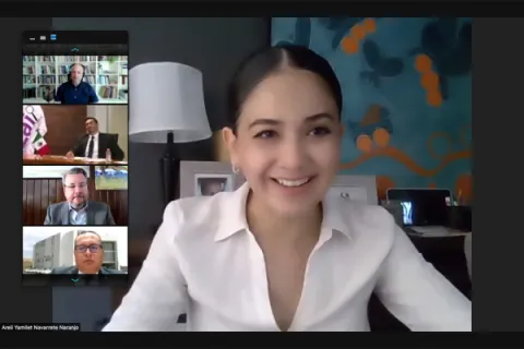 Captura de pantalla de la sesión virtual