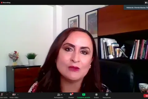 Captura de pantalla de la sesión virtual