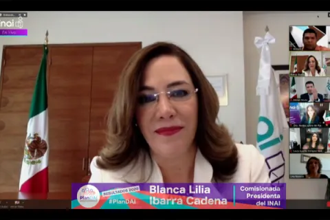Captura de pantalla de la sesión virtual