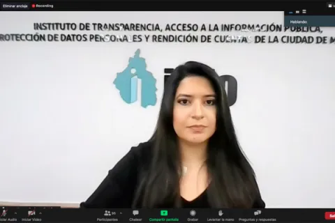 Captura de pantalla de la sesión virtual