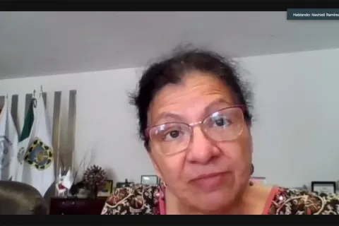 Captura de pantalla de la sesión virtual