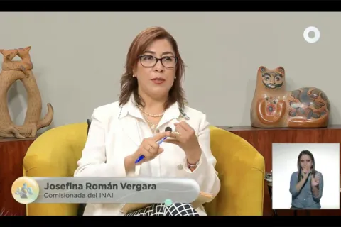 Captura de pantalla de la sesión virtual