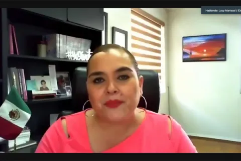 Captura de pantalla de la sesión virtual