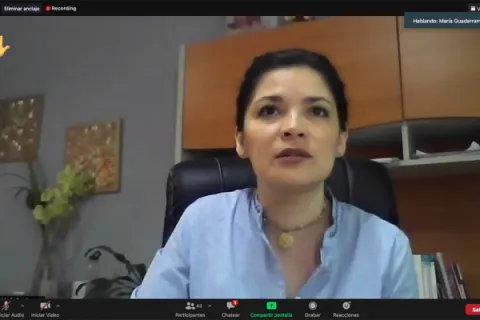 Captura de pantalla de la sesión virtual