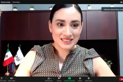 Captura de pantalla de la sesión virtual