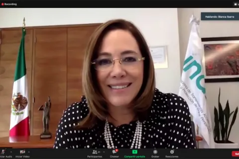 Captura de pantalla de la sesión virtual