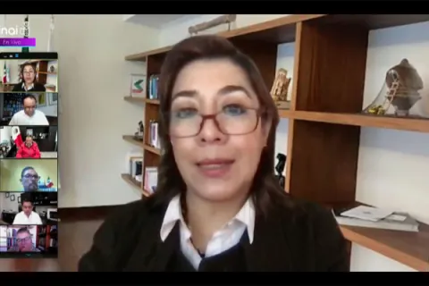 Captura de pantalla de la sesión virtual