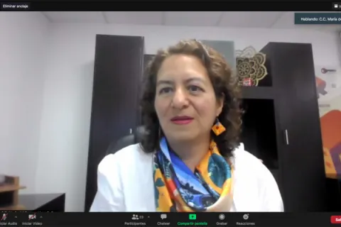 Captura de pantalla de la sesión virtual