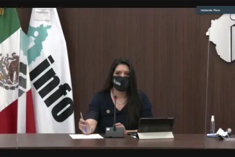 Captura de pantalla de la sesión virtual