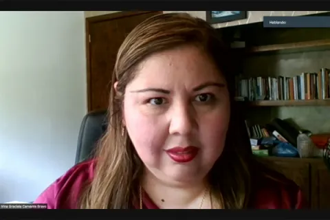 Captura de pantalla de la sesión virtual
