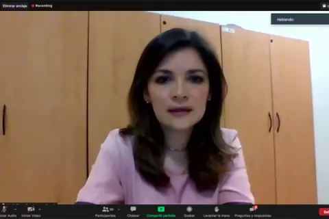 Captura de pantalla de la sesión virtual