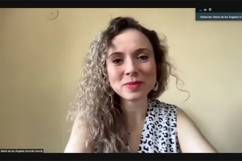 Captura de pantalla de la sesión virtual
