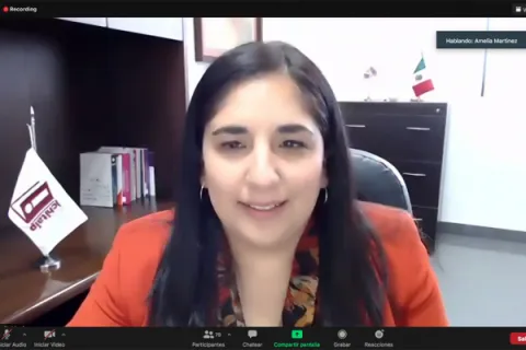 Captura de pantalla de la sesión virtual
