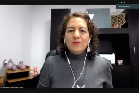 Captura de pantalla de la sesión virtual