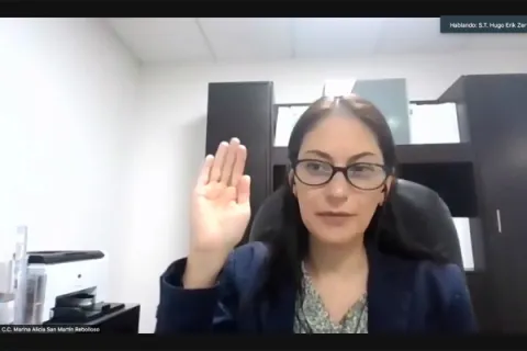 Captura de pantalla de la sesión virtual