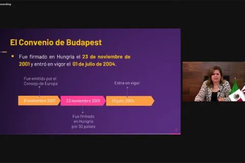 Captura de pantalla de la sesión virtual