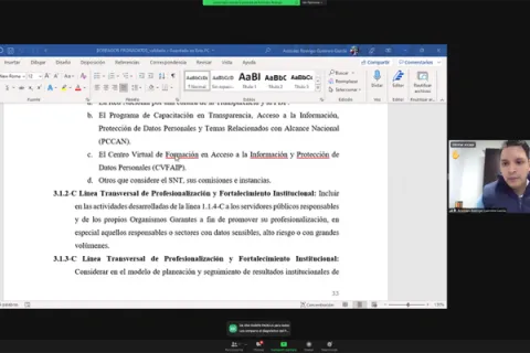 Captura de pantalla de la sesión virtual