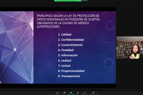 Captura de pantalla de la sesión virtual