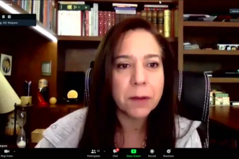 Captura de pantalla de la sesión virtual