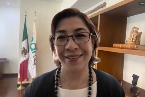 Captura de pantalla de la sesión virtual