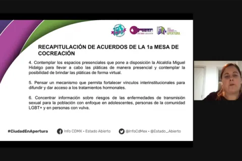 Captura de pantalla de la sesión virtual