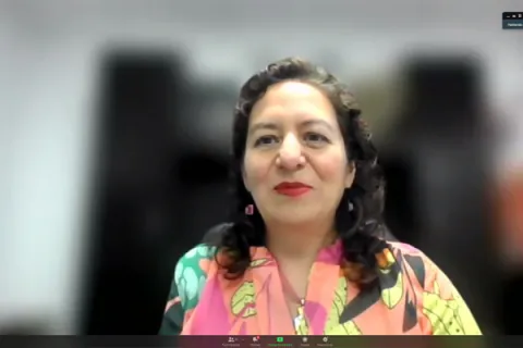 Captura de pantalla de la sesión virtual