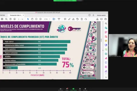 Captura de pantalla de la sesión virtual