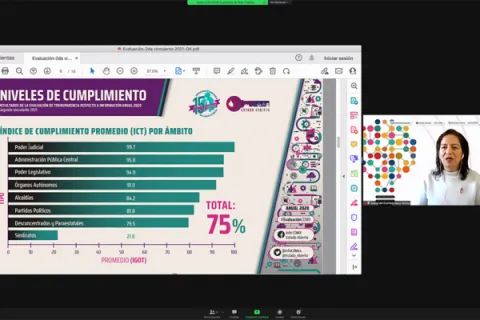 Captura de pantalla de la sesión virtual