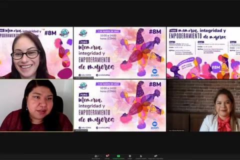 Captura de pantalla de la sesión virtual