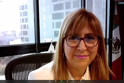 Captura de pantalla de la sesión virtual