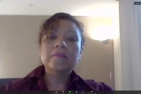Captura de pantalla de la sesión virtual