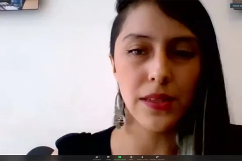 Captura de pantalla de la sesión virtual