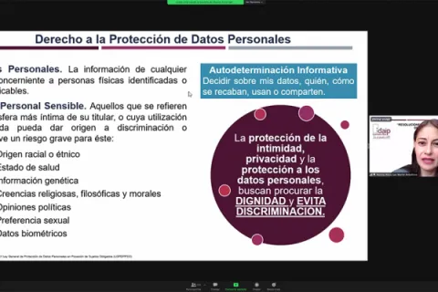Captura de pantalla de la sesión virtual