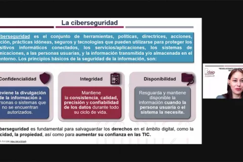 Captura de pantalla de la sesión virtual