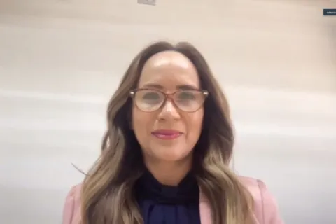 Captura de pantalla de la sesión virtual