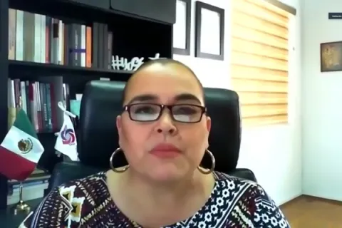 Captura de pantalla de la sesión virtual