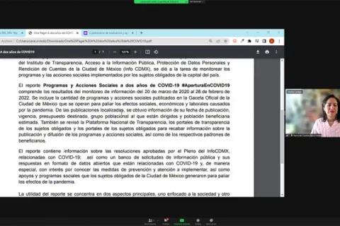 Captura de pantalla de la sesión virtual